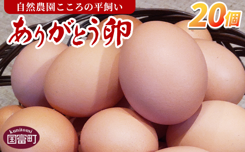 ＜自然農園「こころ」の平飼い『ありがとう卵』20個（10個×2パック）＞ 3か月以内に順次出荷【 卵 たまご タマゴ　生卵 ゆでたまご ゆで卵 卵焼き 玉子焼き オムレツ 親子丼 たまごかけご飯 たまごかけごはん 卵かけご飯 有精卵 平飼い 】 20個