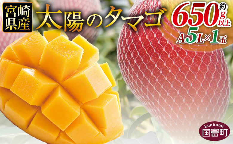 ★数量限定★2026年発送【太陽のタマゴ】A等級A5Lサイズ×1玉（約650g以上）/2026年4月上旬～6月末迄に順次出荷[BJA912]