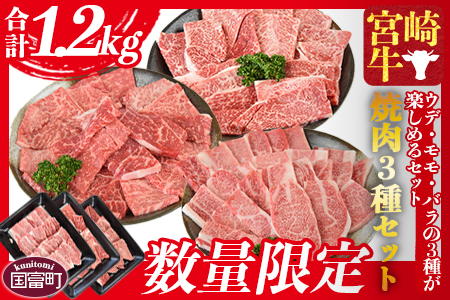 数量限定★[宮崎牛 焼肉 3種セット(ウデ・モモ・バラ)合計1.2kg]1か月以内に順次出荷[ 牛 肉 牛肉 宮崎牛 和牛 黒毛和牛 ウデ モモ バラ 焼肉 BBQ ミヤチク -]