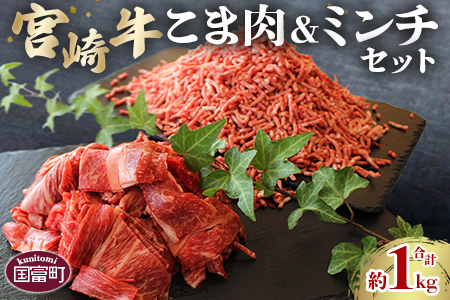 [宮崎牛 こま肉(約400g)&宮崎牛 ミンチ(約600g)セット 合計約1kg]2か月以内に順次出荷[ 牛 肉 牛肉 和牛 黒毛和牛 こま切れ 牛こま ハンバーグ お弁当 ]