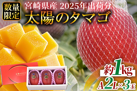 2025年出荷★数量限定[宮崎県産 完熟マンゴー 太陽のタマゴ A2L×3玉(合計約1kg)]2025年4月下旬〜6月下旬に順次出荷[ 果物 マンゴー フルーツ マンゴー 太陽のタマゴ マンゴー 完熟マンゴー マンゴー 数量限定 マンゴー 期間限定 マンゴー -]