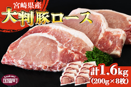 [宮崎県産 豚 大判ロース 合計1.6kg]翌月末迄に順次出荷[ 豚肉 豚ロース カツ丼 豚丼 カツカレー ステーキ ソテー トンテキ とんかつ 厚切り 国富町ザベストテン 小分け 個包装 真空パック 筋切り済 お料理 おかず ]