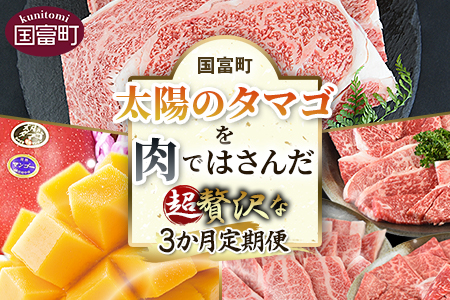 定期便★期間限定[ 太陽のタマゴ を 肉 ではさんだ 超 贅沢 な3か月定期便]2025年4月から第1回目を出荷[ 肉 牛 牛肉 和牛 黒毛和牛 マンゴー 完熟マンゴー 数量限定 先行予約 -]