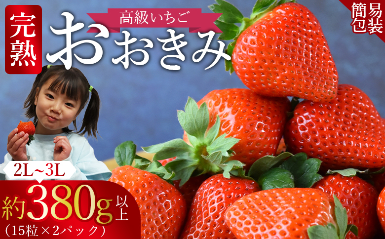 [高級いちご 「おおきみ」 (15粒入り×2パック 合計約760g以上)簡易包装]2025年1月上旬から4月末迄に順次出荷[ いちご イチゴ 苺 先行予約 甘い 大きい 果物 フルーツ 季節物 ][b0859_sn]