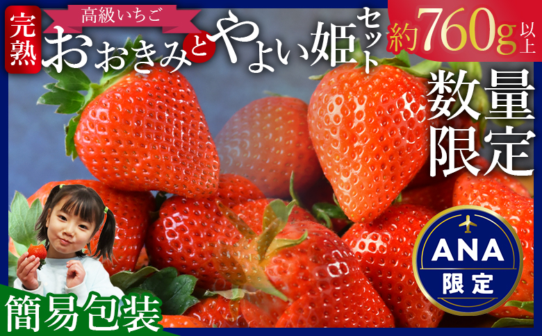 ANA限定★数量限定[高級いちご「おおきみ」と「やよい姫」のセット(約760g以上)(簡易包装)]2025年1月上旬から4月末迄に順次出荷[ イチゴ 苺 フルーツ 果物 青果 大粒 高級 果実 朝摘み 完熟 食品 ]