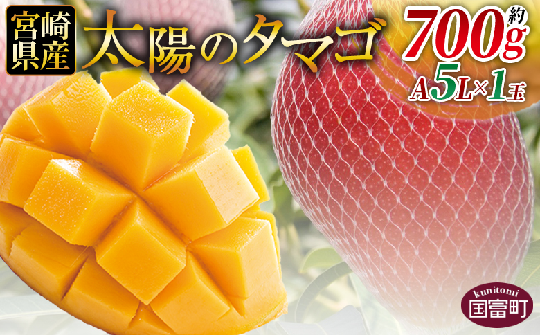 [宮崎県産 太陽のタマゴ A等級 A5Lサイズ×1玉(約700g)]2025年4月下旬〜2025年6月下旬迄に順次出荷[ 太陽のタマゴ 完熟マンゴー 完熟 マンゴー フルーツ トロピカルフルーツ 果物 くだもの おいしい 美味しい 甘い あまい ]