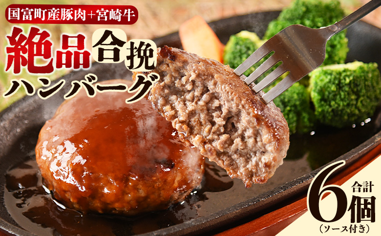 [絶品合挽ハンバーグ 6個]入金確認後、翌月末迄に順次出荷 ソース付き[国富産 豚肉 宮崎牛 ブランド牛 合いびき 合い挽き 160g ぶたにく 牛肉 おかず 一品 焼くだけ 簡単調理 お弁当 お取り寄せ おとりよせ グルメ 贈り物 ご家庭用]