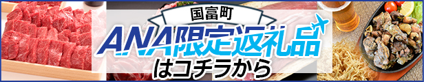 ANA限定返礼品