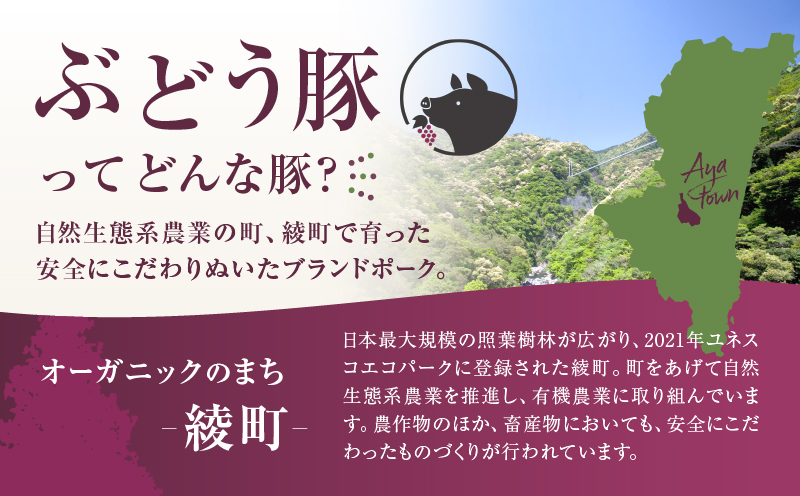 国産 豚肉 ブランド 豚 綾ぶどう豚 切り落とし 4か月 定期便 セット 指定月 中旬 お届け