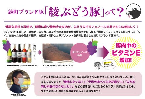 ※廃止※綾牛・綾ぶどう豚ハンバーグ1.2kg