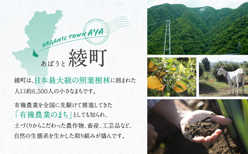 【返礼品なしの寄附】宮崎県綾町 寄附のみの応援受付 1,000円 応援寄附 寄付