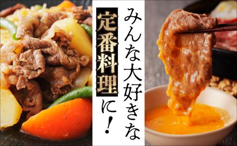 宮崎牛 肩 ロース ウデ スライス セット 計700ｇ 牛肉 肉 国産 しゃぶしゃぶ すきしゃぶ スライス 食べ比べ 小分け 赤身 ブランド牛 ギフト 贈り物 九州 宮崎 霜降り