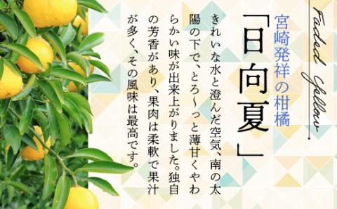 初春の旬「日向夏」種あり5kg【先行受付】