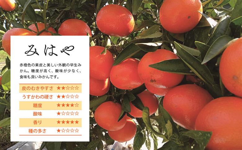 みはや 5kg【訳あり】