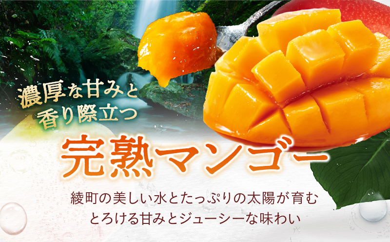 完熟マンゴー＆生ライチセット