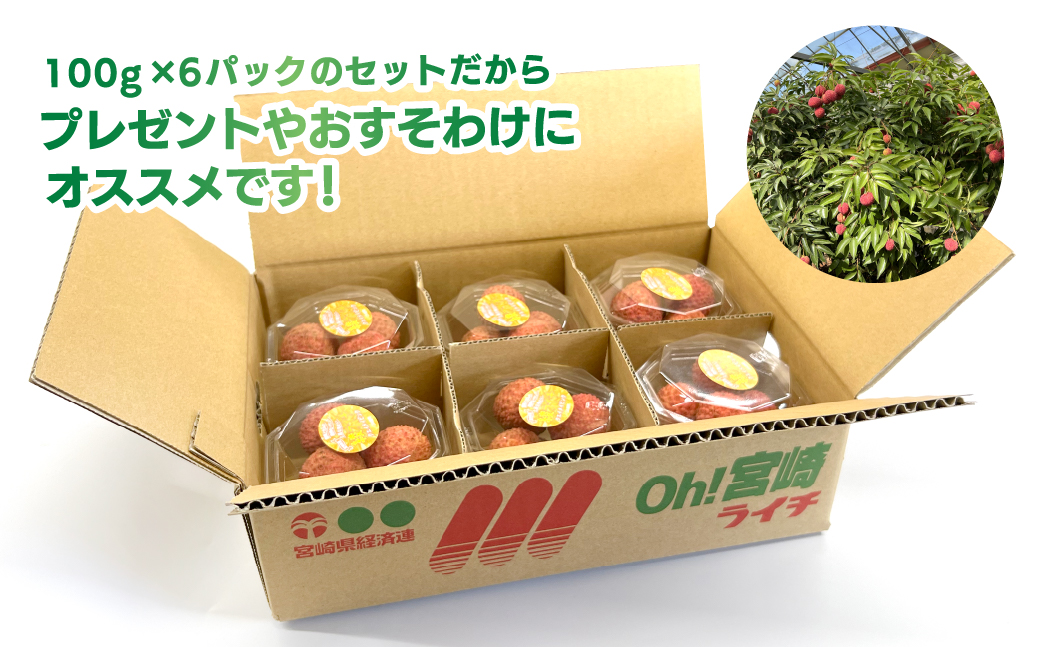 綾生ライチ お裾分けセット [６パック]