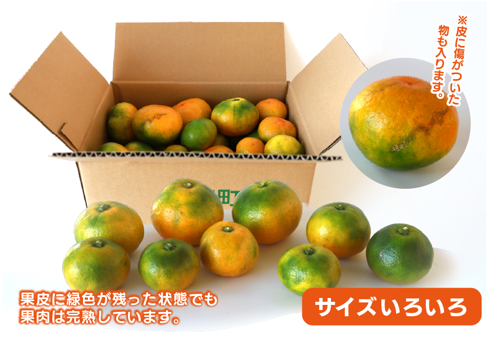 【2025年先行予約】ゆら早生みかん 2.5kg サイズミックス 宮崎県 綾町