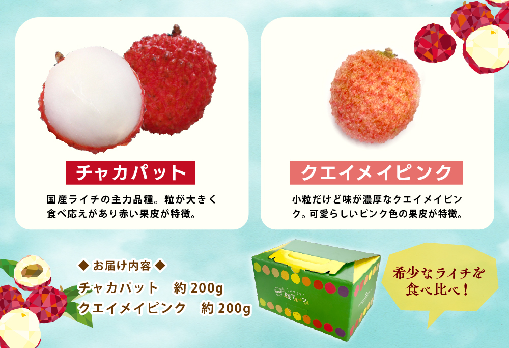 【宮崎県綾町産】綾生ライチ 2種食べ比べセット