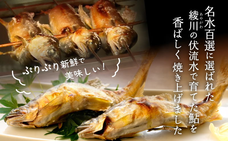 鮎 塩焼き 焼き鮎 5匹 冷凍 香ばしい