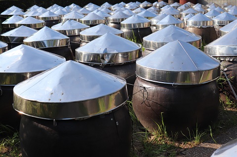 毎日摂取!! 17種類のアミノ酸　900ml×3本