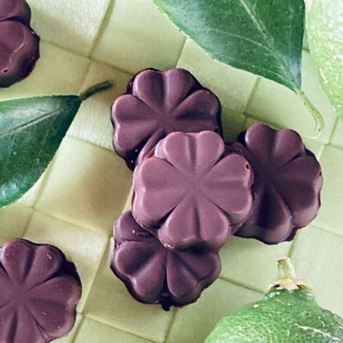 ミニビターチョコ詰合わせ〈６個〉白砂糖不使用