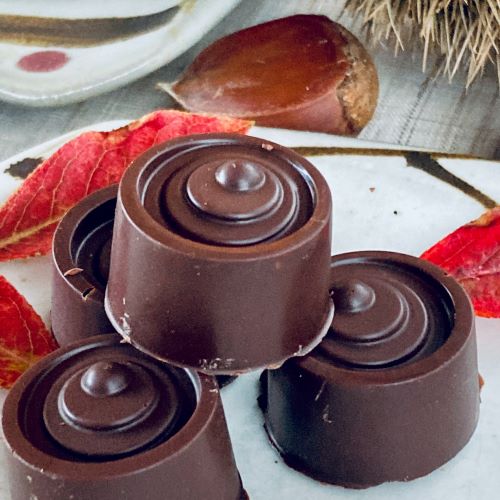 ミニホワイト＆ビターチョコ詰合わせ＜10個＞白砂糖不使用