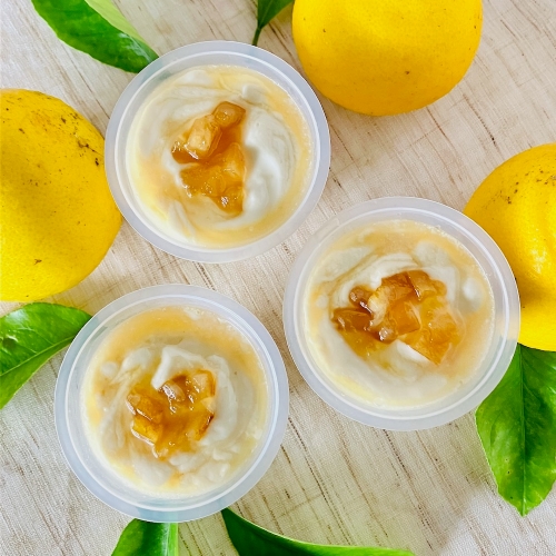 生チーズムース（綾日向夏）白砂糖不使用♪