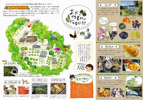 あや作業所のハーブティセット　農薬・化学肥料不使用