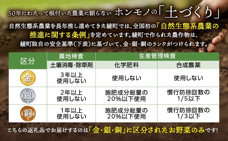 【全４回定期便】春夏秋冬 季節のお野菜セット（サイズ大） 【宮崎県 12種 定期便 詰め合わせ 新鮮 産地直送 おまかせ 季節の野菜 ボックス 農家直送 有機栽培 送料無料 オーガニックのまち 宮崎県綾町】 大