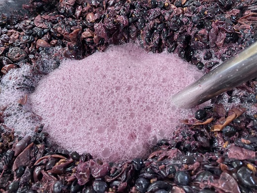 2024 綾ルージュ ワイン（赤／750ml）