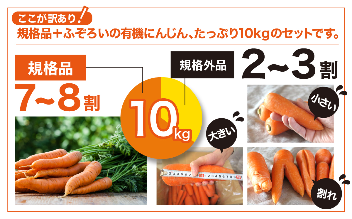 【有機JAS】 ジュースに最適！たっぷりにんじん10kg！（訳ありふぞろい規格） 10kg