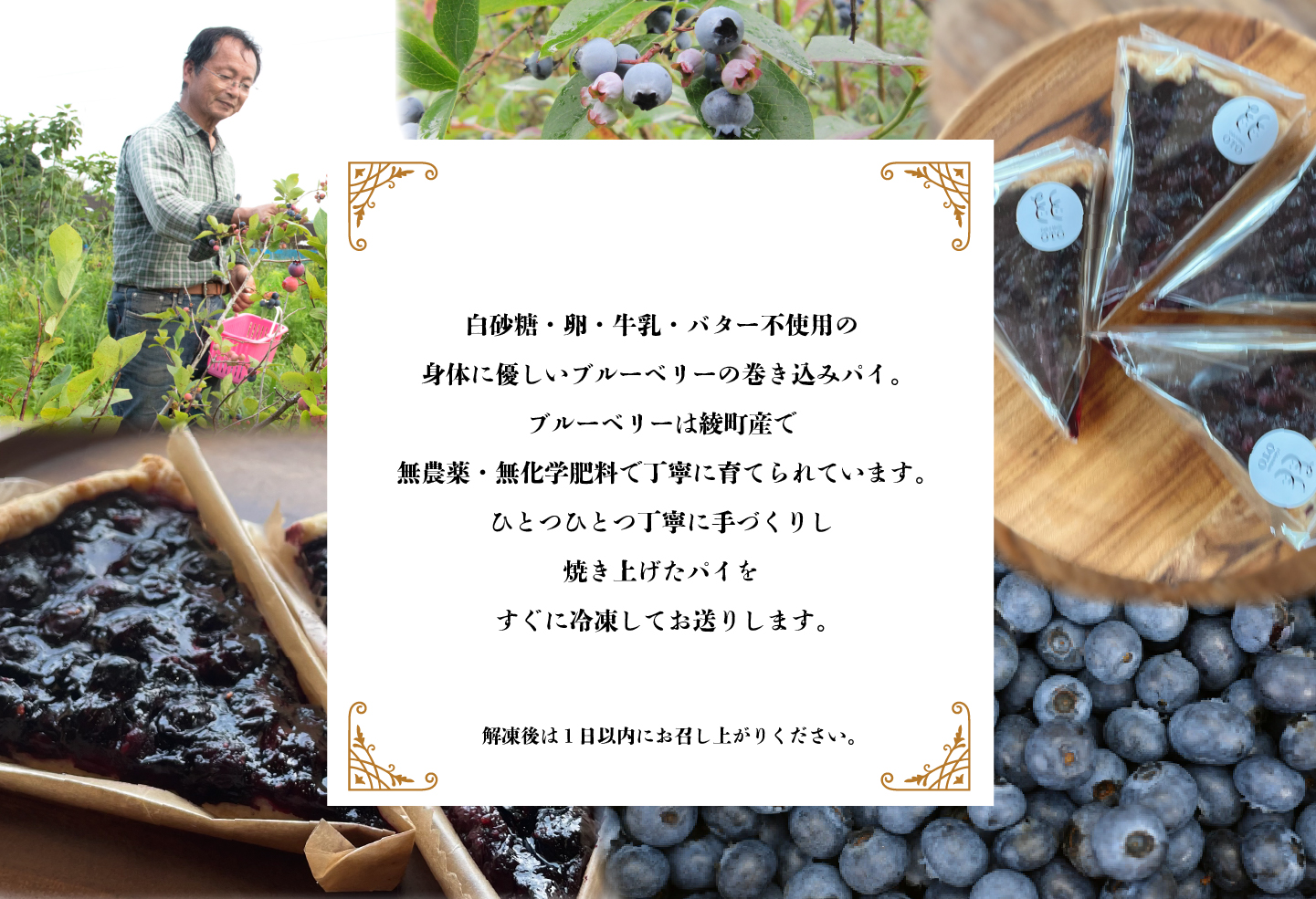 綾町産、川越さんの無農薬ブルーベリーを使ったブルーベリーの巻込みパイ