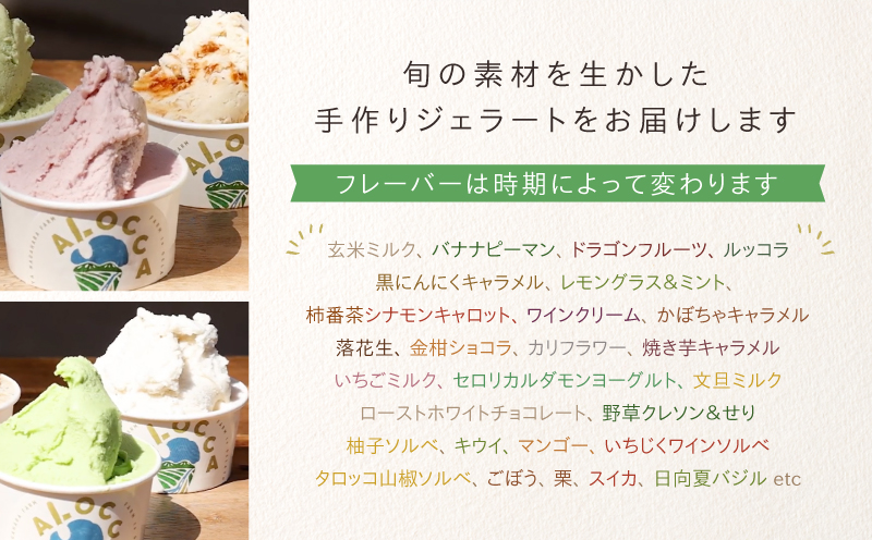 日時指定可能◎オーガニックタウン綾町から届く、季節のクラフトジェラート〈12個セット〉 12個セット