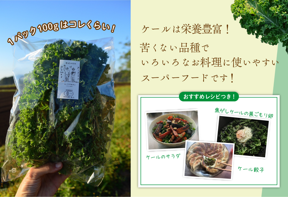 綾町産有機ケール 500g [おすすめレシピ付き]