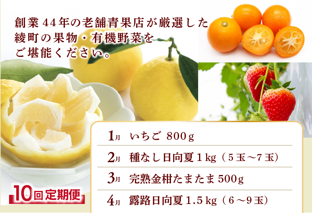 【全10回お届け】宮崎県綾町産 果物・野菜定期便 [X21] 全10回定期便