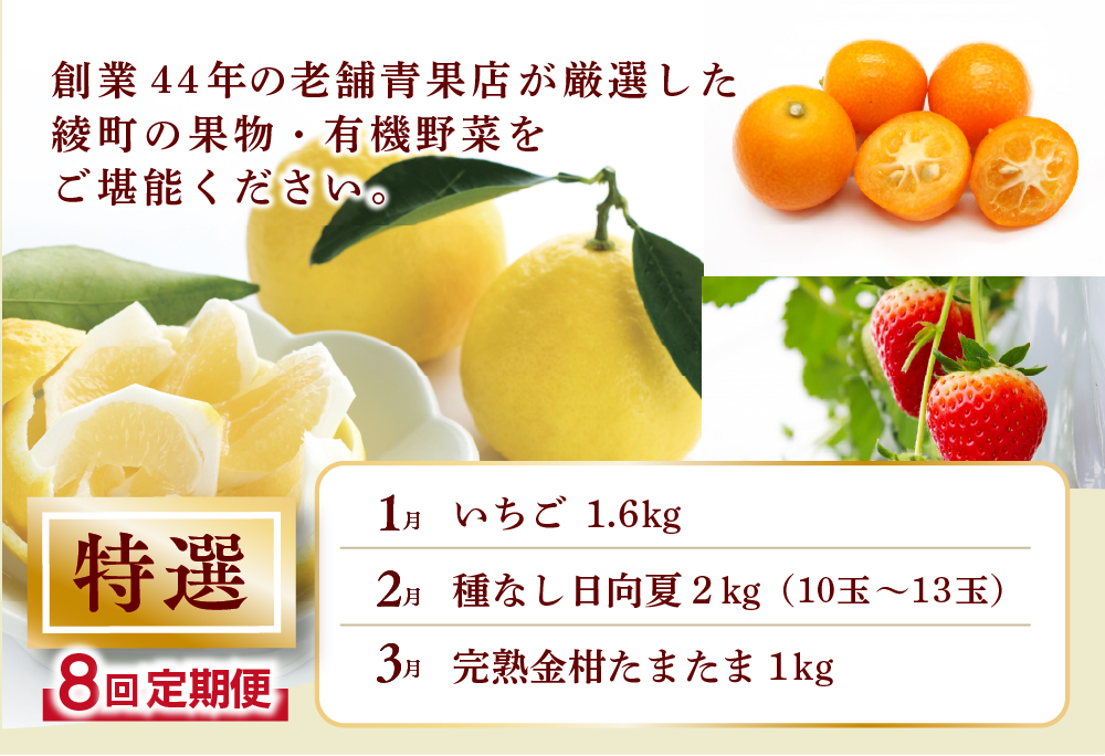 【全8回お届け】特選！！宮崎県綾町産 果物・野菜定期便 [Y20] 全8回定期便