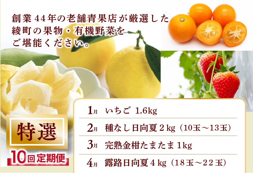 【全10回お届け】特選！！宮崎県綾町産 果物・野菜定期便 [Y21] 全10回定期便