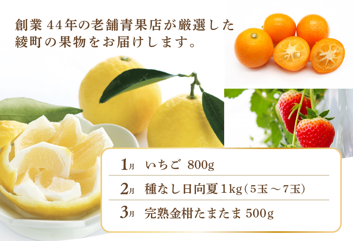 【全6回お届け】宮崎県綾町産 果物定期便 [X22]