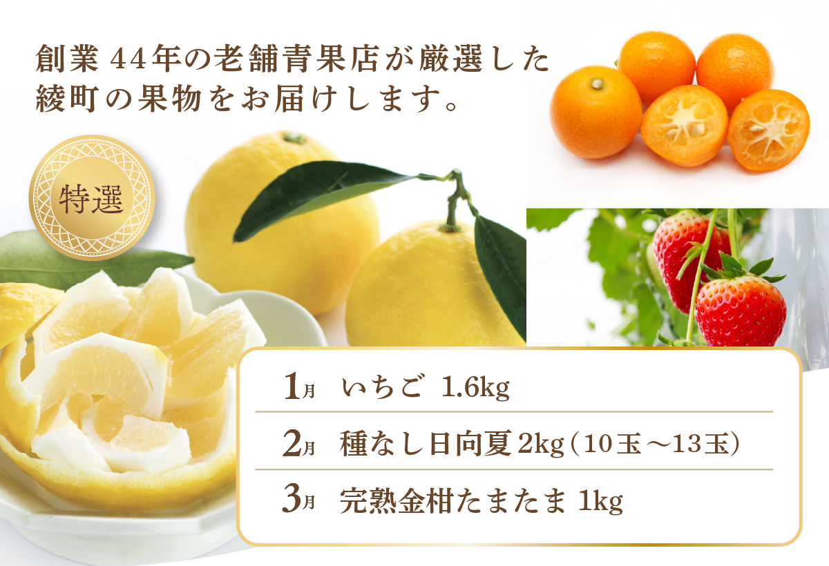 【全6回お届け】特選！！宮崎県綾町産 果物定期便 [Y22]