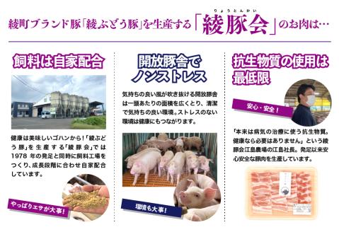 ※廃止※綾牛・綾ぶどう豚ハンバーグ1.2kg