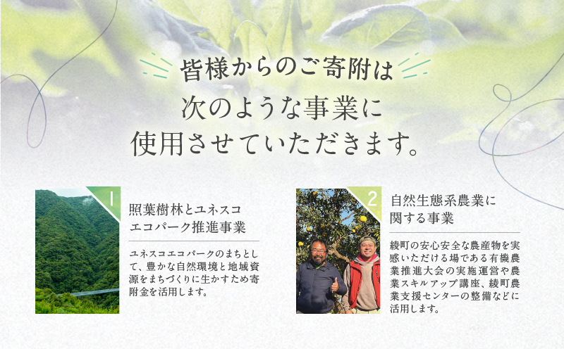 【返礼品なしの寄附】宮崎県綾町 寄附のみの応援受付 20,000円 応援寄附 寄付