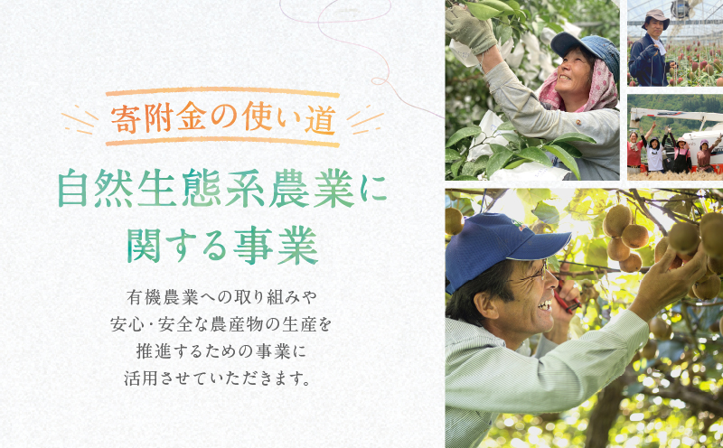 【返礼品なしの寄附】宮崎県綾町 ＜自然生態系農業に関する事業を応援＞ 5,000円 寄附のみ 応援寄附 寄付