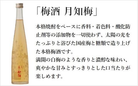 杜ガールセット　ワイン　白　ロゼ　リキュール