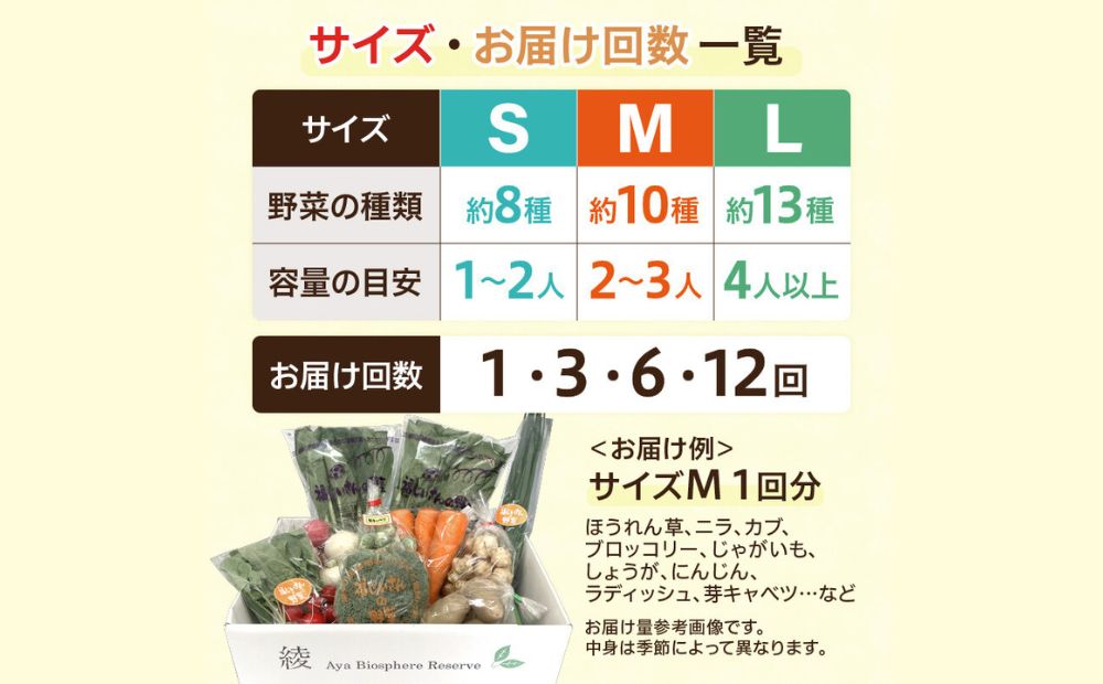 綾町旬野菜ギフト（Mサイズ）【全３回定期便】 全3回【定期便】