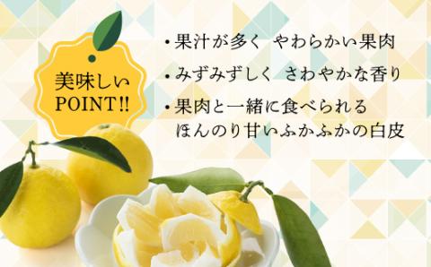 初春の旬「日向夏」種あり2.5kg【先行受付】