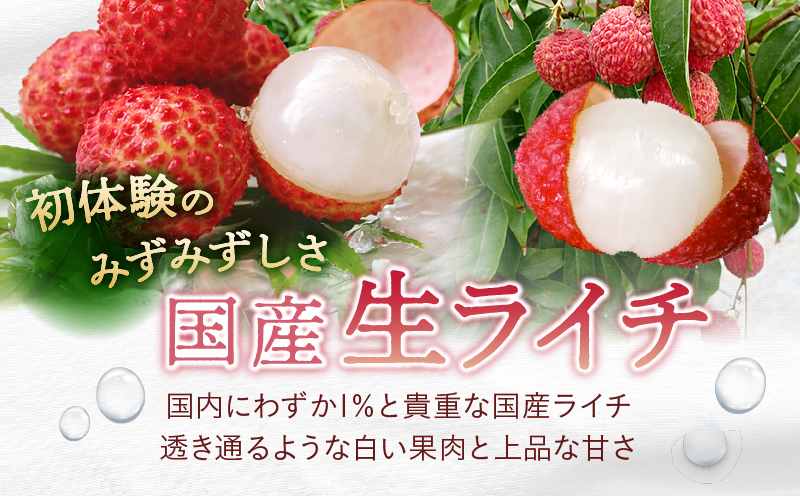 完熟マンゴー＆生ライチセット