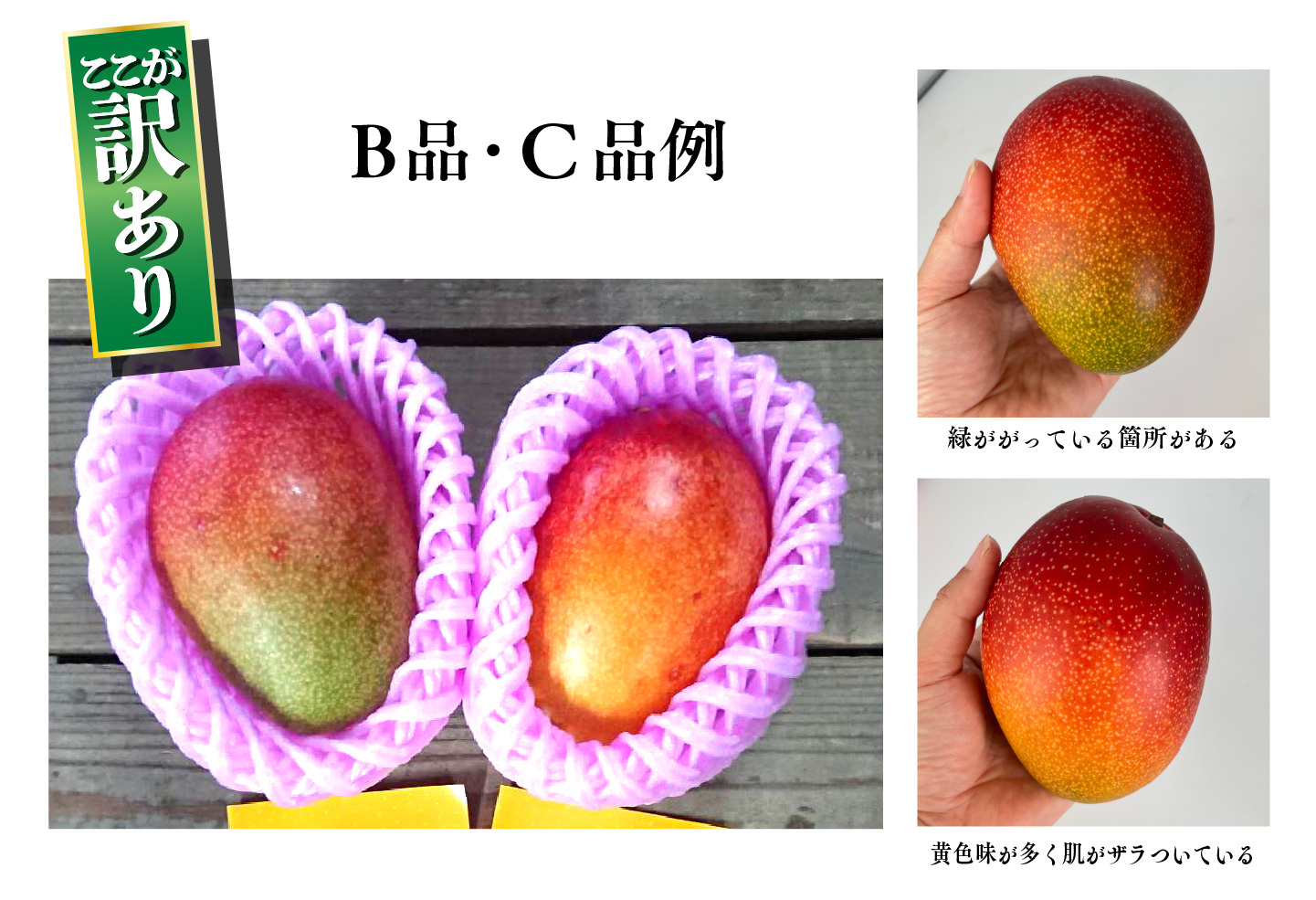 【訳あり】完熟マンゴー 2L×5玉（パック）【濃厚 高級 宮崎 果物 フルーツ 贈答 ギフト 甘い 先行受付 送料無料】