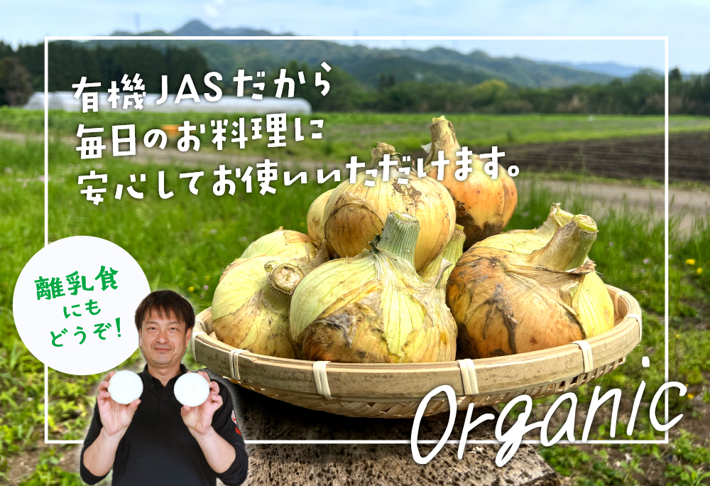 「有機たまねぎ」南国オニオン 10kg 10kg