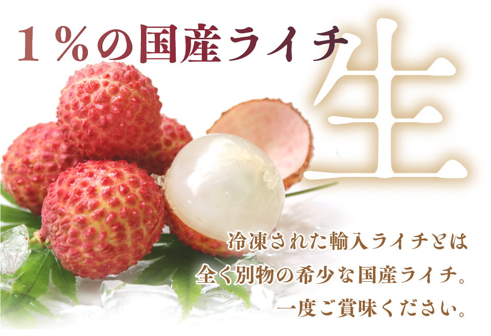 【宮崎県綾町産】綾生ライチ 2種食べ比べセット