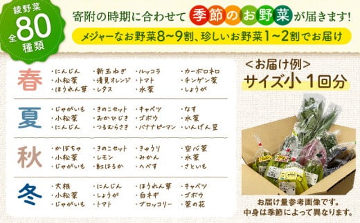 【全４回定期便】春夏秋冬 季節のお野菜セット（サイズ大） 【宮崎県 12種 定期便 詰め合わせ 新鮮 産地直送 おまかせ 季節の野菜 ボックス 農家直送 有機栽培 送料無料 オーガニックのまち 宮崎県綾町】 大